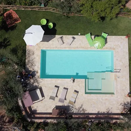 Apartamento Il Paradiso Tra Gli Ulivi San Vitale